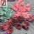 Import Large flowers embroidered sequined lace for womens wear from China
