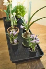 Large Multifunctional Tray for Shoes, Wellies, Plant Pots, Paint Tins, Boots