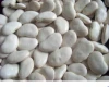 Large white lima Beans