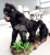 Import Life Size Animal Model Animatronic Monkey from China
