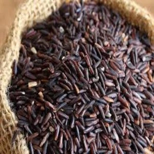 Long Grain Wholesale Black Rice for sale