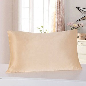 Luxury multiple color custom 100% mulberry real silk pillow case