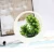 Import MACTING Simulated Plant Potted Small Bonsai Plastic Flower Home Decoration Table Decoration Ornaments from China
