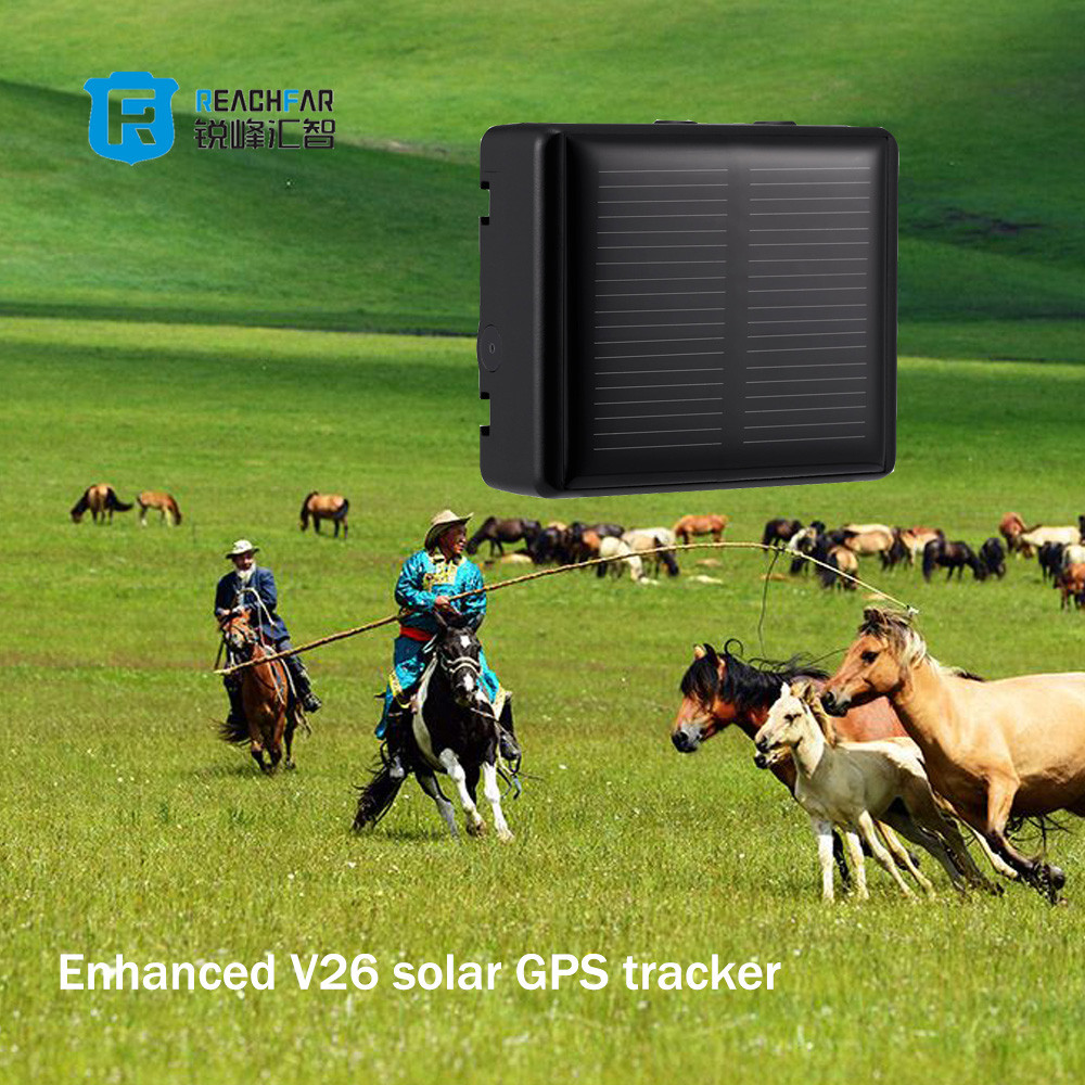 Buy Magnetic Gps Tracker Cows Animal Tracking Device Wholesale Horse ...