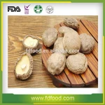 Market Price Freeze Dried Fruits And Vegetables Freeze Dried Shiitake Freeze Dried Mushrooms