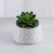 Import Mini Artificial Potted Plastic Handicraft Succulent Bonsai Plants in Ceramic Pot for Indoor Home Decor from China