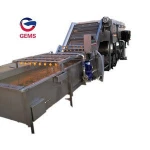 Mini Top Loading Vegetable Fruit Washing Machine Vegetables Washer Cleaning Machine