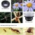 Import Mobile Phones And accessories 12x /24x Macro Lens For Phone 2 in 1 Smartphone Macro Lens Kit from China