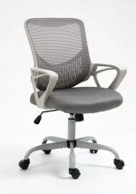 Modern Ergonomic Mesh Chair Beautifully Comfortable with Revolving Feature for Office and Other Scenarios