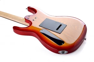 Music instruments guitar electric guitar buy from China