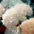 Import Natural real touch preserved flowers dried flower artificial flowers for sale home decor from China