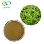 New Arrival Hot Sales Sitosterol & Organosilicone Nettle Leaf Tea Extract