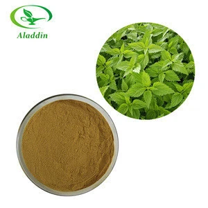New Arrival Hot Sales Sitosterol &amp; Organosilicone Nettle Leaf Tea Extract