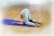 Import New Blue Color 15mm Thick NBR Yoga Mat Beginners And Tasteless Anti Slip Colchoneta Yoga for Fitness Dance Pad from China