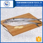 New catching frozen style whole round Spanish Mackerel / King fish / Seer fish on sale frozen seafood