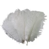 New Fashion 20-25cm Ostrich Feathers Pink for DIY Wedding Decorations