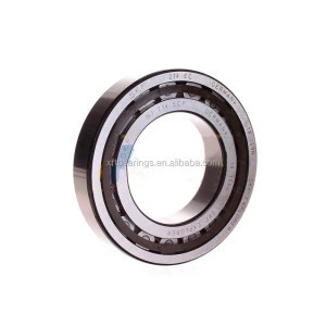 NSK Gear bearing VP55-2 Cylindrical Roller Bearing