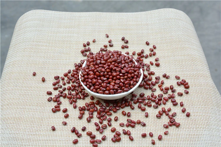 Nutrition Round Grain Medium Grain Sand Waxy Red Bean Wholesale