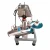 Import NY-817  Full Automatic Flat Surface Top Side Labeling Machine Hot Selling Labeler from China