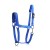 Import Nylon Webbing Adjustable Adjustable Zinc Alloy Clip Padded Horse Halter Equestrian Padded from China