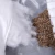 Import OEKO polyester fiber & nature buckwheat 5 stars hotel neck pillow from China