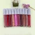Import OEM Private Label 5 Pieces  Holiday Lip Color Set Multi Color Glitter Lipstick Set Water Proof Long-Lasting  Lipstick from China