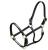 Import Padded Leather Halter Iron Buckle Manufacturer from India