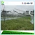 Poly Tunnel single span film Agriculture Greenhouse From China green house