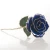 Import popular 24K gold tipped real rose gift Red Rose from China