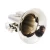 Import Popular Style Sliver Colored Bb Key Trumpet from China