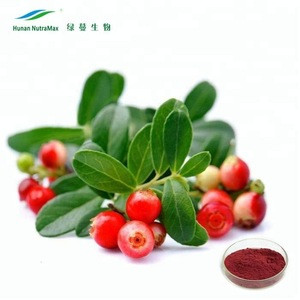 Preventing urinary tract infection Cranberry Proanthocyanidins 25%