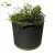 Import Professional Manufacturer Cheap Fabric Pots Degradable Non Woven Black Plant Felt Grow Bag from China