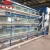 Import Professional Poultry Farming Commercial Egg Production Equipment from China