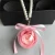 Import Rainbow pink color preserved fresh roses keychain permanent roses car hangings with black gift box from China