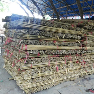 raw bamboo poles for construction material