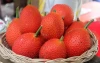 Raw Gac Fruit Fresh / Mekong Herbals