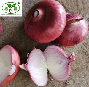 Red onion/Shallot/Red Scallions Exports of Singapore, the Middle East, etc