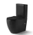 Import Rimless Two Piece Toilet Made in China Price Toilet Accessories from China