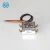 Import room capillary tube thermostat for egg incubator from China