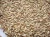 Import Rye Grain Direct Supplies,Rye Bran from Philippine from Philippines