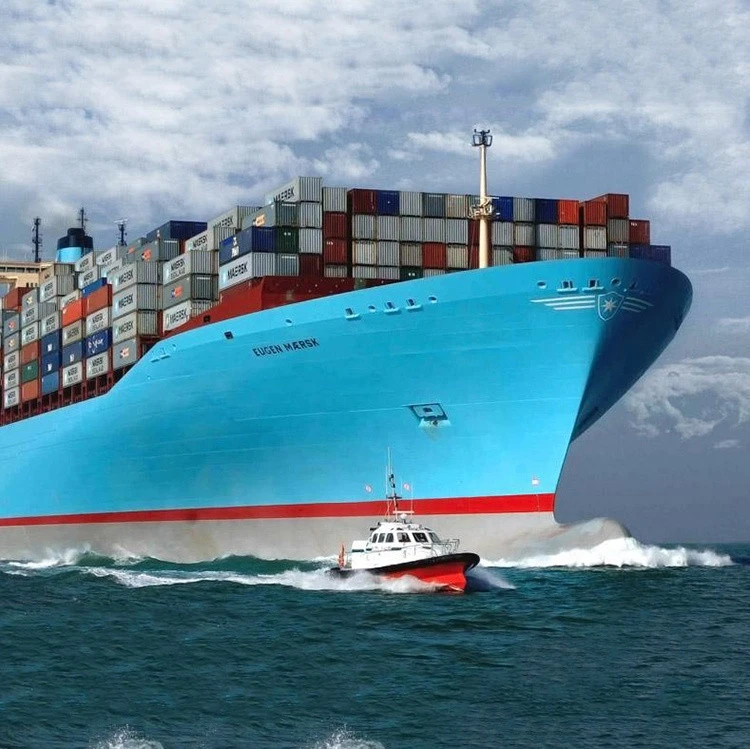 Sea freight rates from india freight service agents