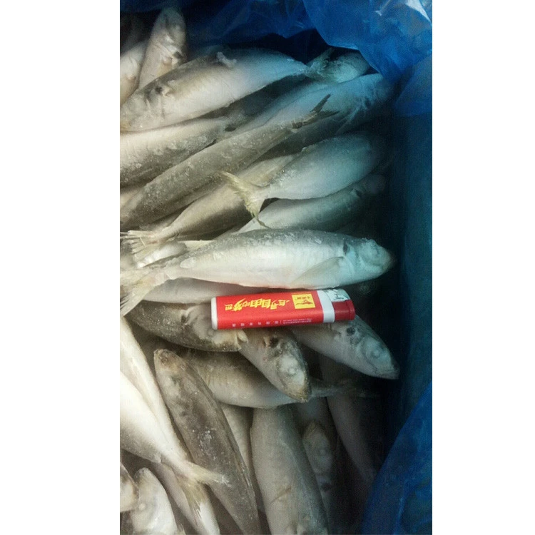 Seafood from china round scad Used for sea food in can