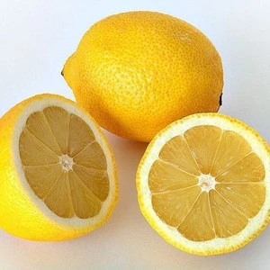 Sell lemon seedless, good price/ fresh lime/ fresh lemon/ lime cheap