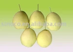 shandong pear