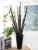 Import Shininglife wholesale plastic plant artificial 13 branches sansevieria in large bonsai from China