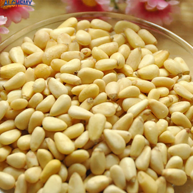 Siberia quality bulk blanched raw pine nut kernels