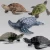 Import Simulation wild animal model toys Animal Toy Dinosaurs Sea Animal Figure Children custom gifts from China