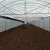 Import Single-span agriculture film/plastic greenhouse for sale from China