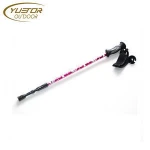ski pole stick