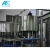 small mineral water producing machine plant cost/small water bottling machine for water factory